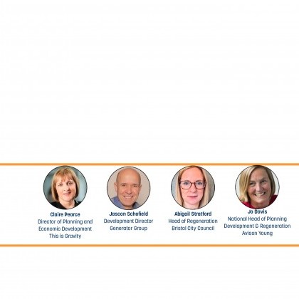 The Changing Development Agenda - South West image