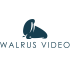 Walrus Video logo